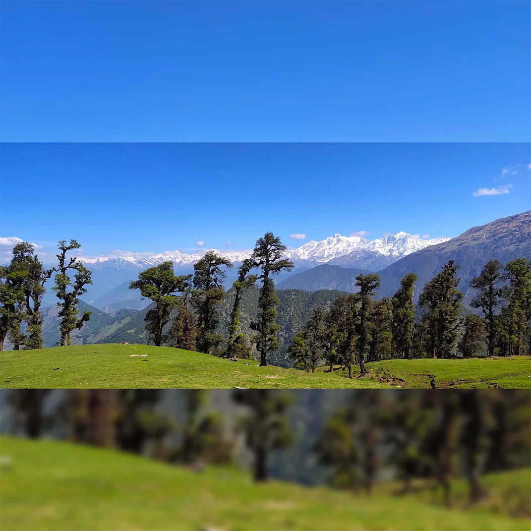 Chopta